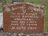 image of grave number 804563